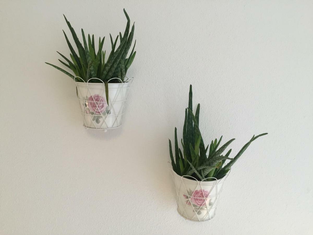 Nigler Innsbruck Apartment 外观 照片